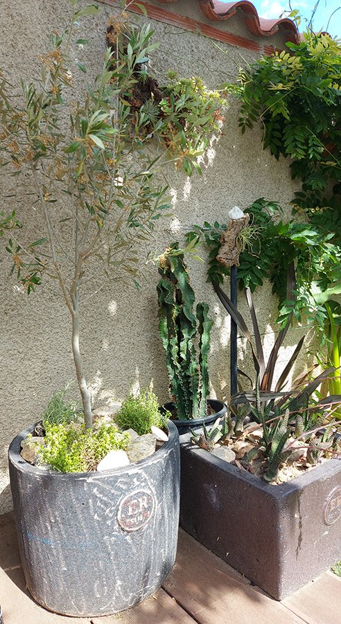 location maison vacances 66 Pyrénées-Orientales