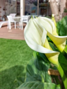 location maison vacances 66 Pyrénées-Orientales