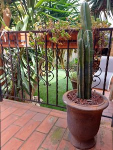 location maison vacances 66 Pyrénées-Orientales