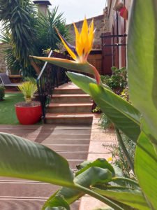 location maison vacances 66 Pyrénées-Orientales